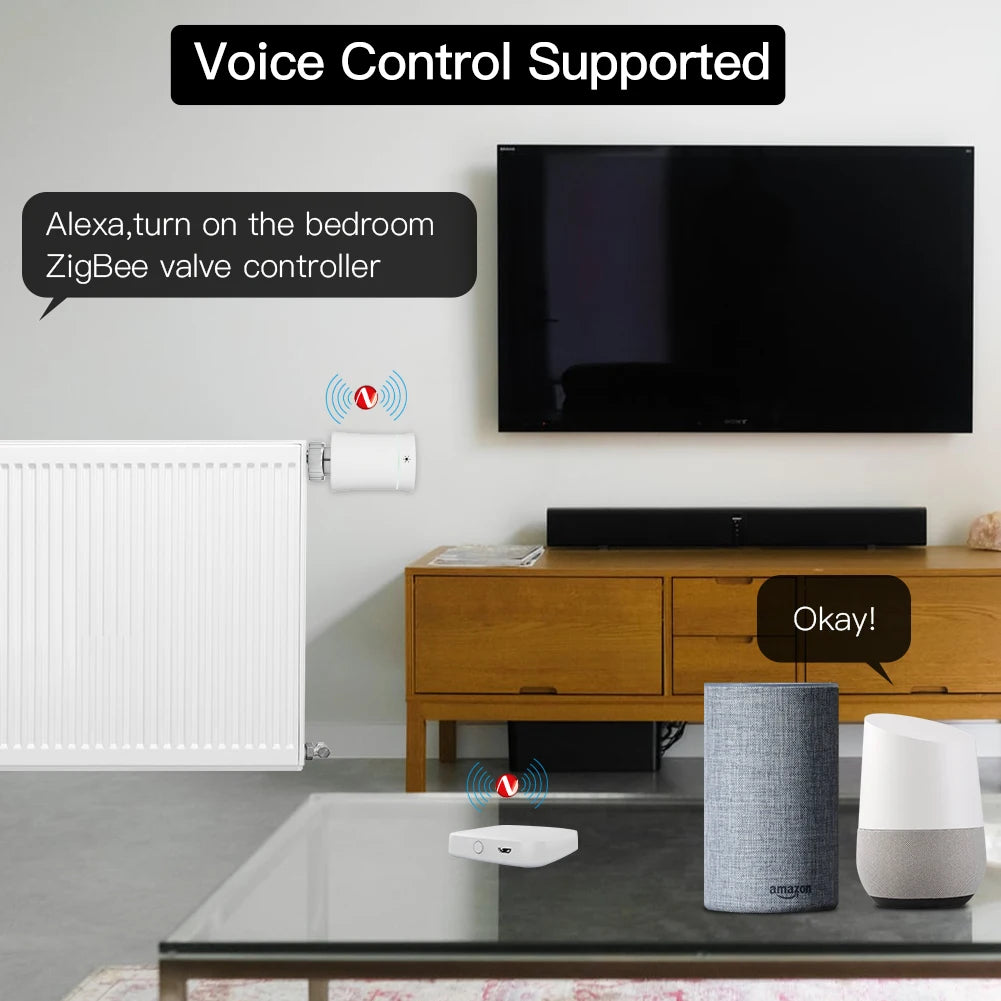 Multi-Mode Smart Hub for Tuya, Alexa & Google Home