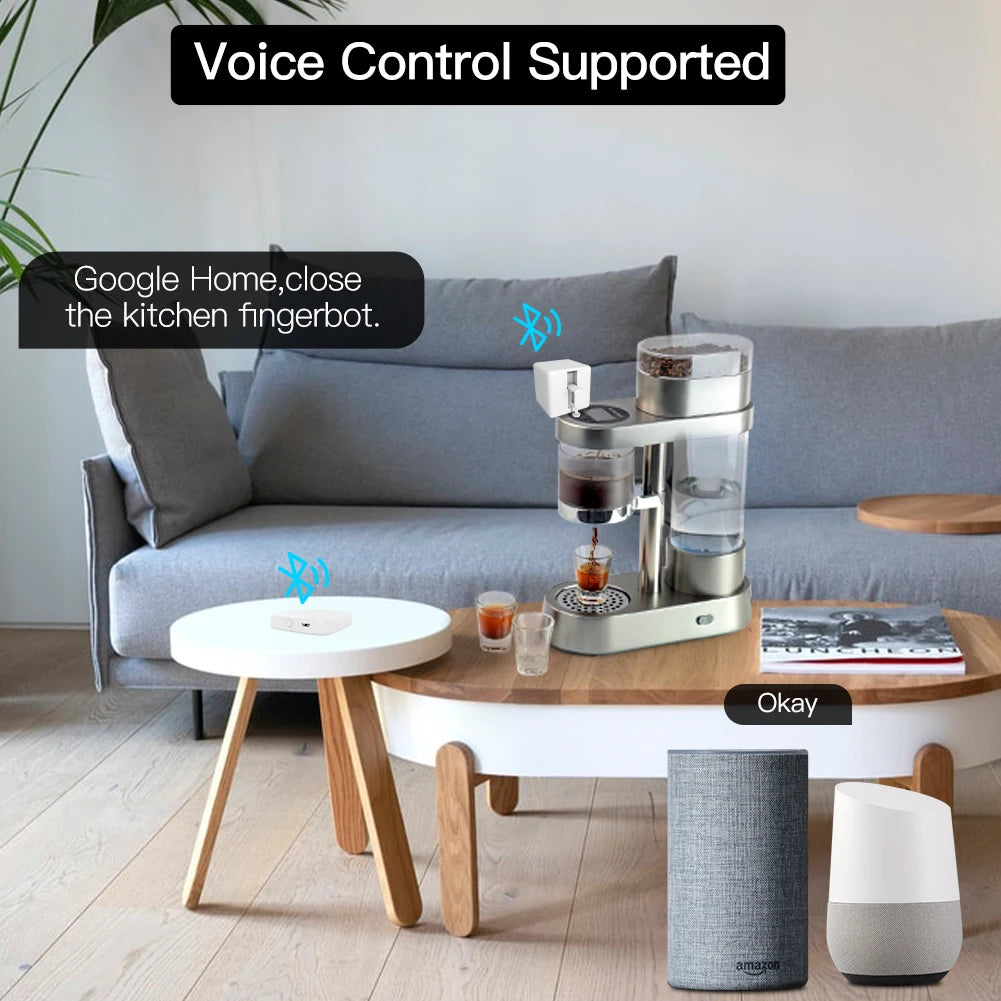 Multi-Mode Smart Hub for Tuya, Alexa & Google Home
