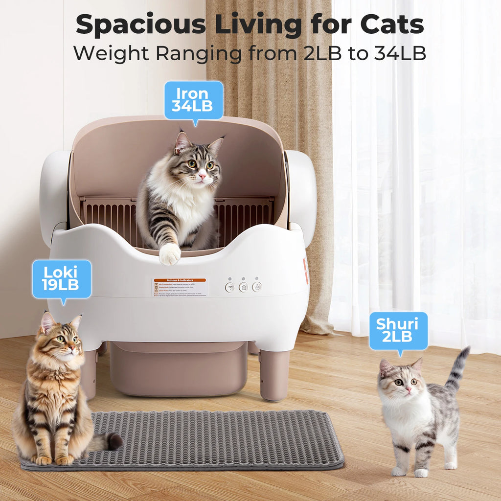 Multi-Cat Smart Litter Box: Self-Cleaning & Odor Control