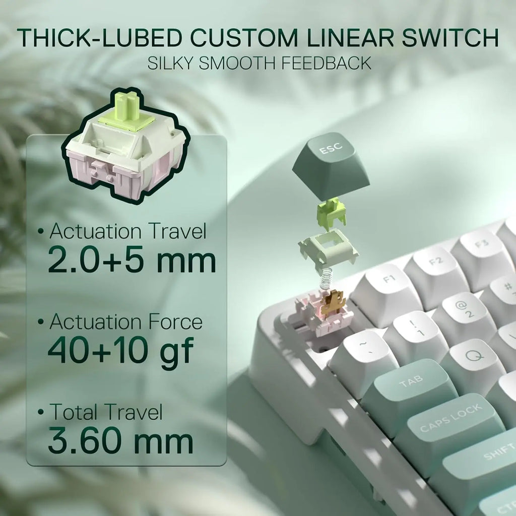 Wireless Gaming Keyboard with Easy-Control, Info Display, and Mint Mambo Switches