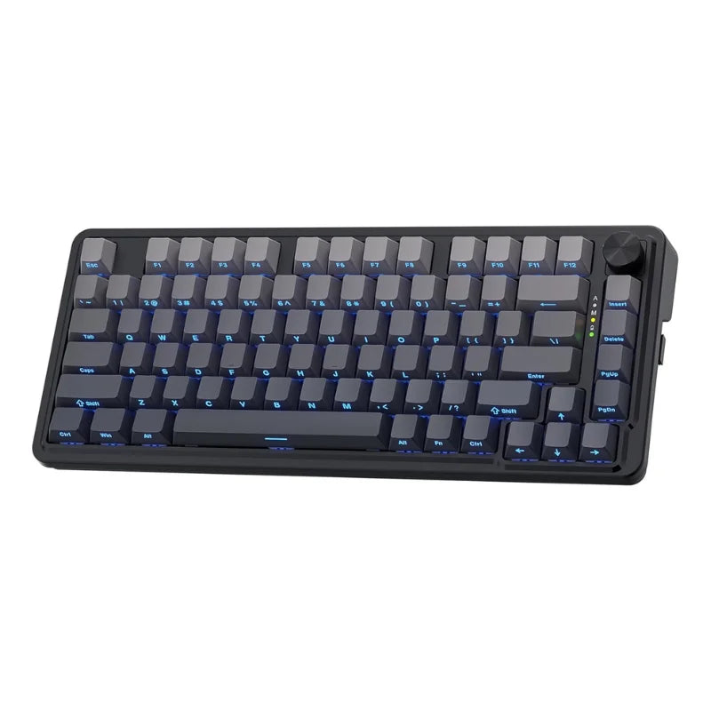 Wireless Gaming Keyboard with Mechanical Hot-Swap Socket Keys
