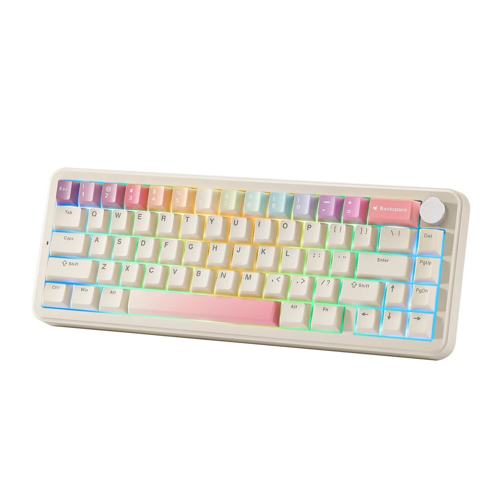 Wireless Mechanical Gaming Keyboard with Hot Swap and compatible with Windows/Mac